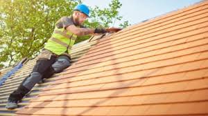 Best Skylight Installation and Repair  in Terra Bella, CA