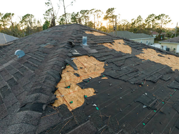 Best Metal Roofing Installation  in Terra Bella, CA
