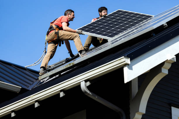 Best Roof Moss and Algae Removal  in Terra Bella, CA